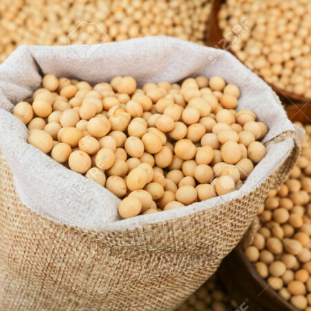 SOYA BEANS