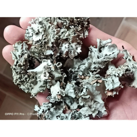 STONE FLOWER