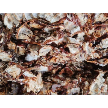 TAMARIND