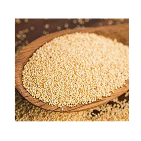 POPPY SEEDS ( GASAGASALU)